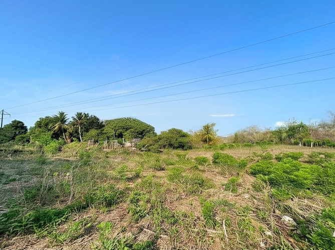 Finca en Venta en Hato nuevo, Corozal - Miniatura 11