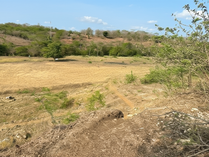 Finca en Venta en Hato nuevo, Corozal - Miniatura 12