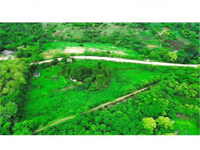 Finca en Venta en Hato nuevo, Corozal - Miniatura 15