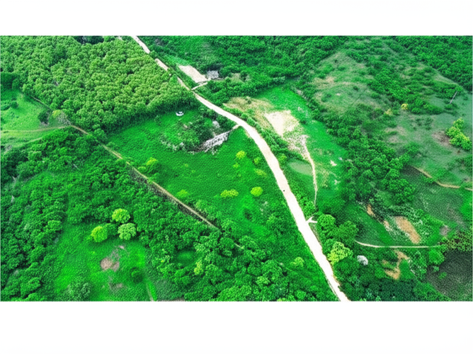 Finca en Venta en Hato nuevo, Corozal - Miniatura 16