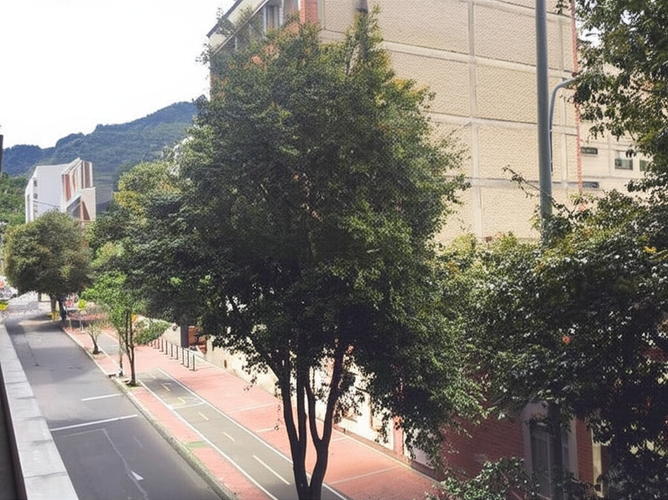 Local en Venta en Alta Blanca, Bogotá - Miniatura 9
