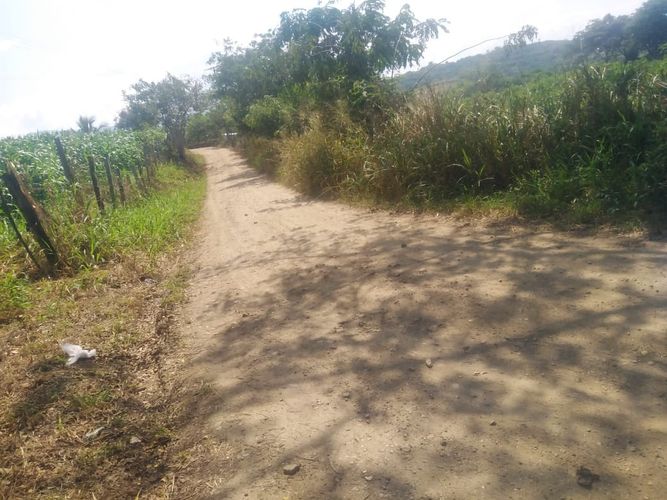 Finca en  Venta en Majo, Garzón - Miniatura 3