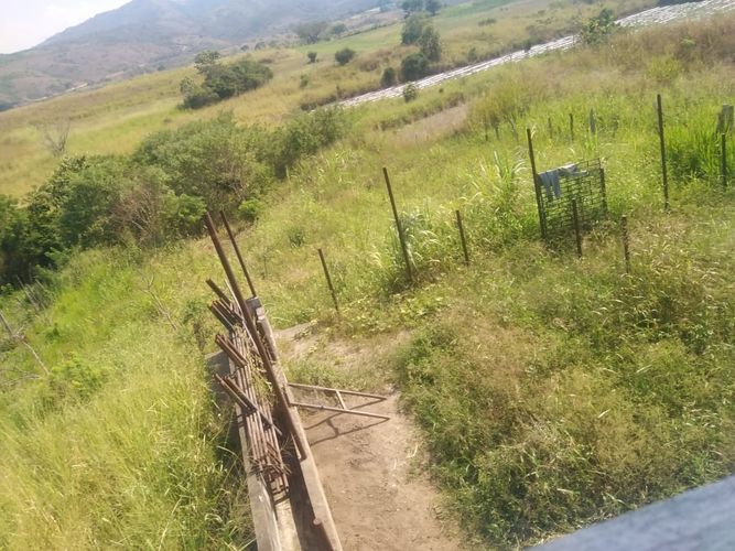 Finca en  Venta en Majo, Garzón - Miniatura 4