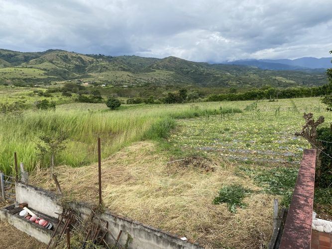 Finca en  Venta en Majo, Garzón - Miniatura 26