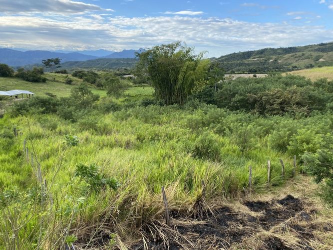 Finca en  Venta en Majo, Garzón - Miniatura 27