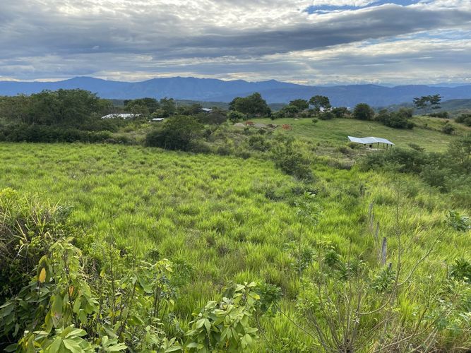 Finca en  Venta en Majo, Garzón - Miniatura 28