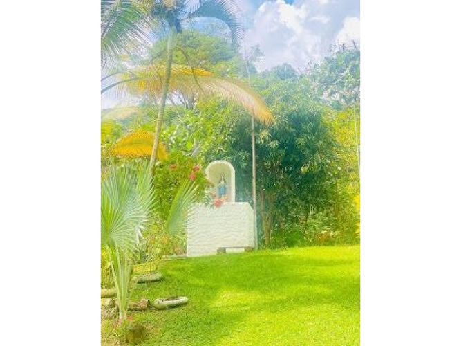 Finca en Venta en Santafe de antioquia - Miniatura 4
