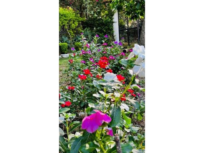 Finca en Venta en Santafe de antioquia - Miniatura 8