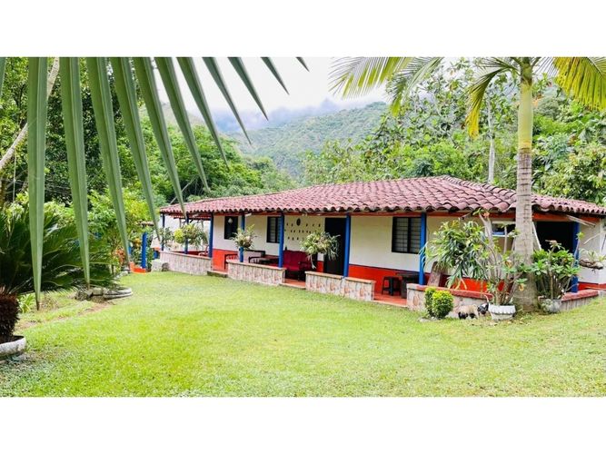 Finca en Venta en Santafe de antioquia - Miniatura 12