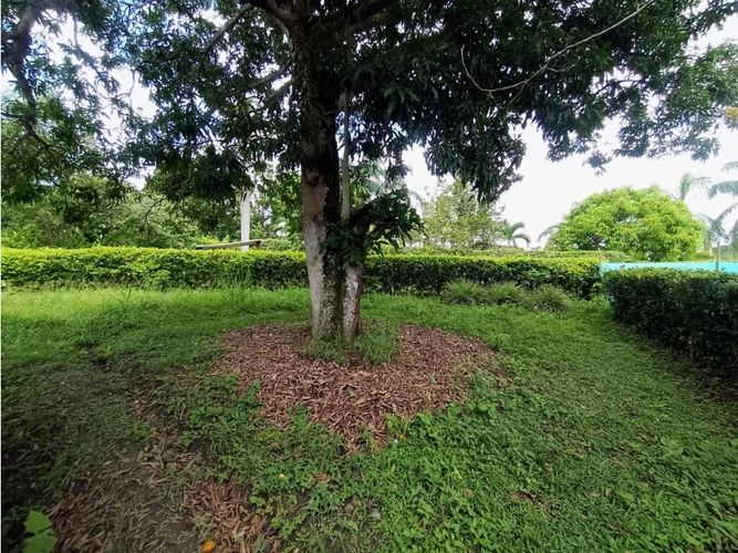 Finca en Venta en Otra banda, Sopetran - Miniatura 19