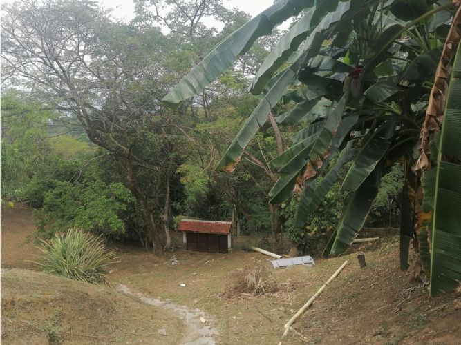 Finca en Venta en Otra banda, Sopetran - Miniatura 17