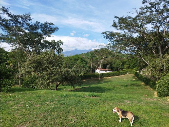 Finca en Venta en Sopetran - Miniatura 26