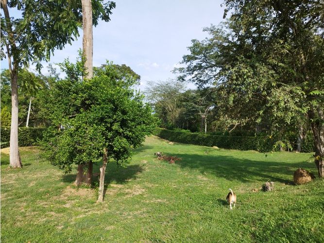 Finca en Venta en Sopetran - Miniatura 27