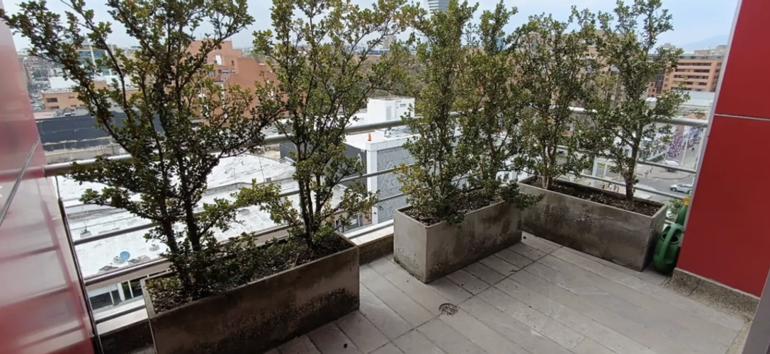 Oficina en  Venta en Chico norte, Bogotá - Miniatura 12