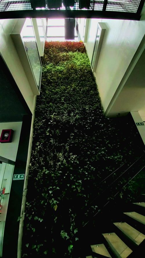Edificio en Arriendo en Santa Ana Centro Comercial Boutique, Bogotá - Miniatura 9