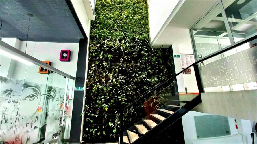 Edificio en Arriendo en Santa Ana Centro Comercial Boutique, Bogotá - Miniatura 10
