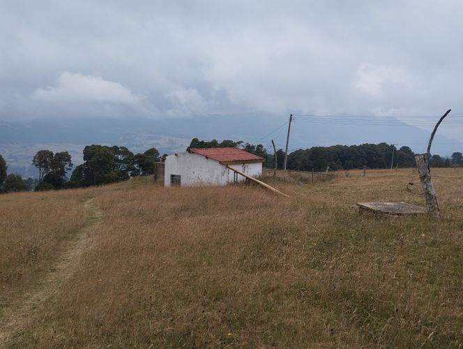 Finca en  Arriendo en Nemocon - Miniatura 21