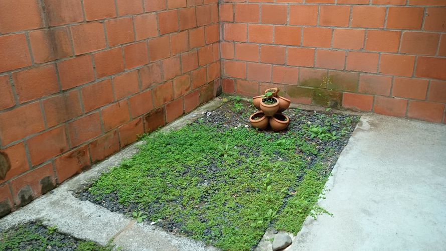 Casa en Arriendo en Cerritos, Pereira - Miniatura 29