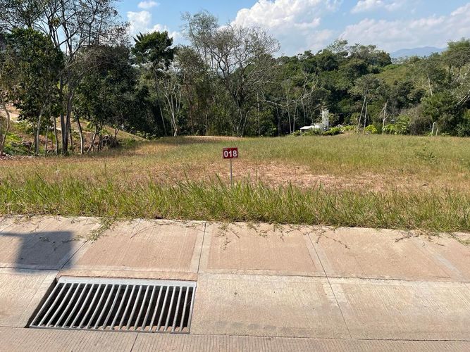 BOSQUE MASARYK, Lotes en Venta en Ruitoque Bajo, Floridablanca - Miniatura 20