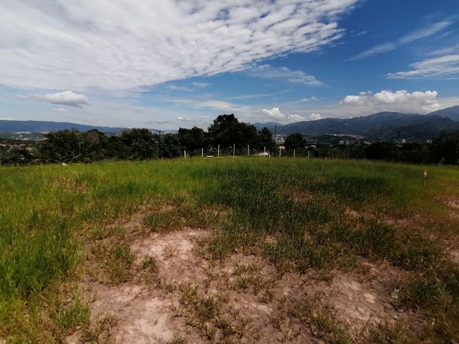 BOSQUE MASARYK, Lotes en Venta en Ruitoque Bajo, Floridablanca - Miniatura 23