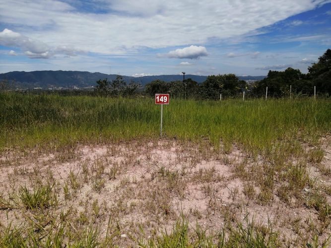 BOSQUE MASARYK, Lotes en Venta en Ruitoque Bajo, Floridablanca - Miniatura 22