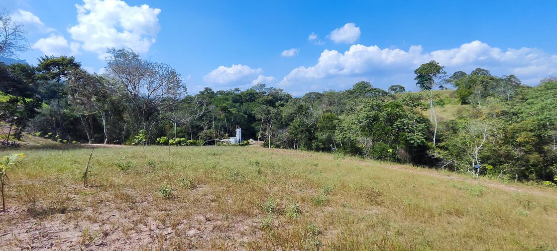 BOSQUE MASARYK, Lotes en Venta en Ruitoque Bajo, Floridablanca - Miniatura 19