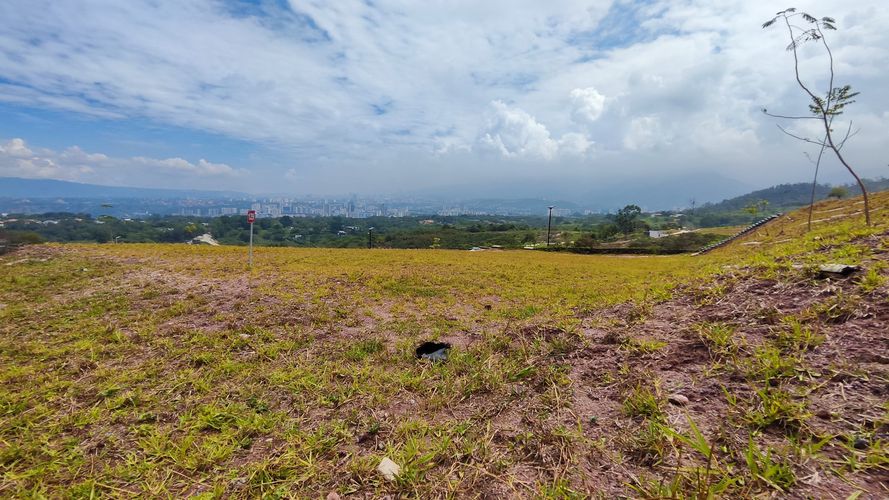 BOSQUE MASARYK, Lotes en Venta en Ruitoque Bajo, Floridablanca - Miniatura 14