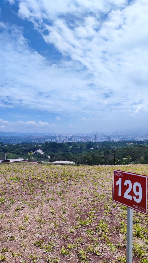BOSQUE MASARYK, Lotes en Venta en Ruitoque Bajo, Floridablanca - Miniatura 15