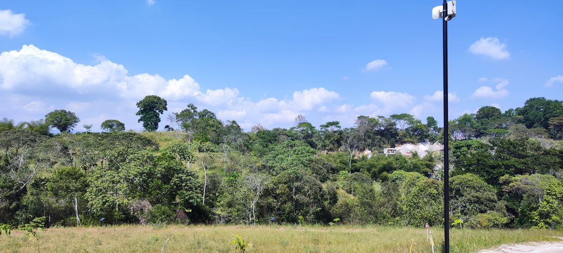 BOSQUE MASARYK, Lotes en Venta en Ruitoque Bajo, Floridablanca - Miniatura 21