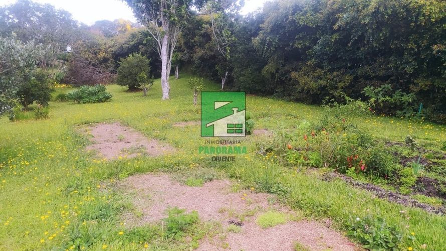 Finca en Arriendo en San antonio, Rionegro - Miniatura 8