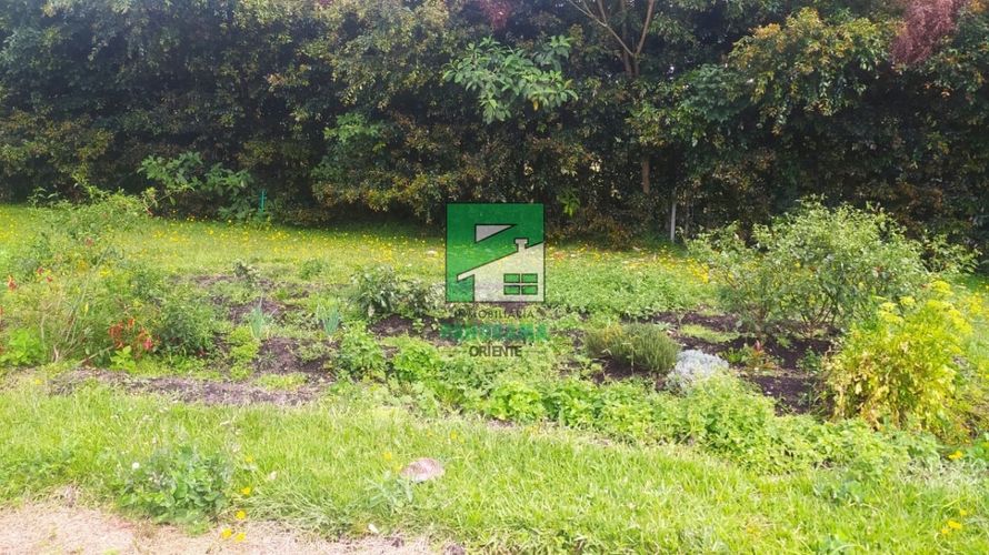 Finca en Arriendo en San antonio, Rionegro - Miniatura 17