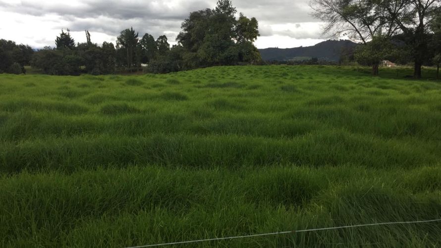 Finca en Venta en Tenjo - Miniatura 12