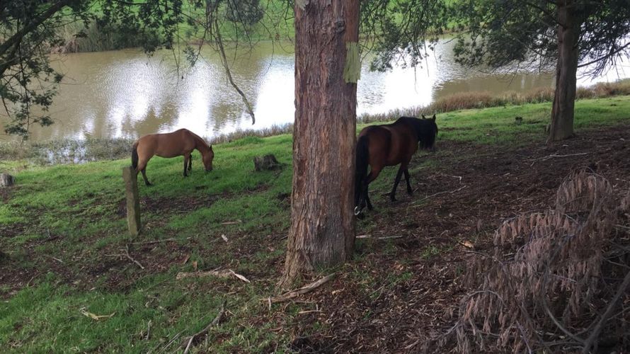 Finca en Venta en Tenjo - Miniatura 13