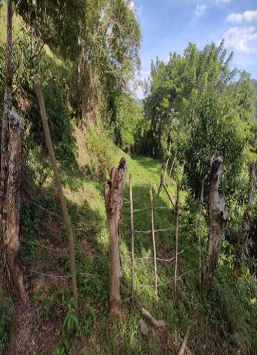 Finca en Venta en El castillo, Pacora - Imagen 1