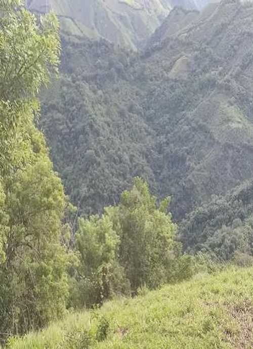Finca en Venta en El castillo, Pacora - Miniatura 2