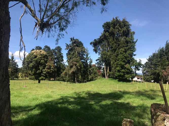 Finca en  Venta en El porvenir, Rionegro - Miniatura 9