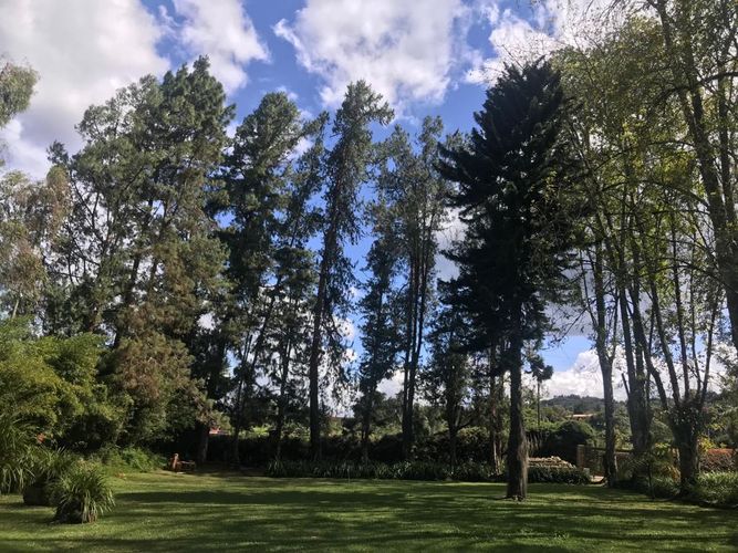 Finca en  Venta en El porvenir, Rionegro - Miniatura 11