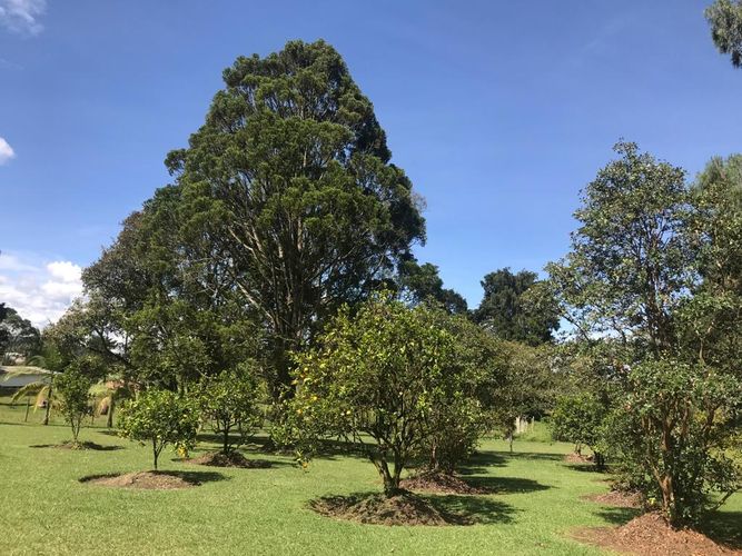 Finca en  Venta en El porvenir, Rionegro - Miniatura 15