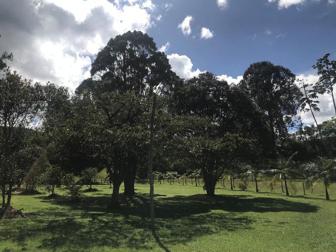 Finca en  Venta en El porvenir, Rionegro - Miniatura 17