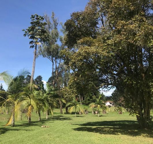 Finca en  Venta en El porvenir, Rionegro - Miniatura 18
