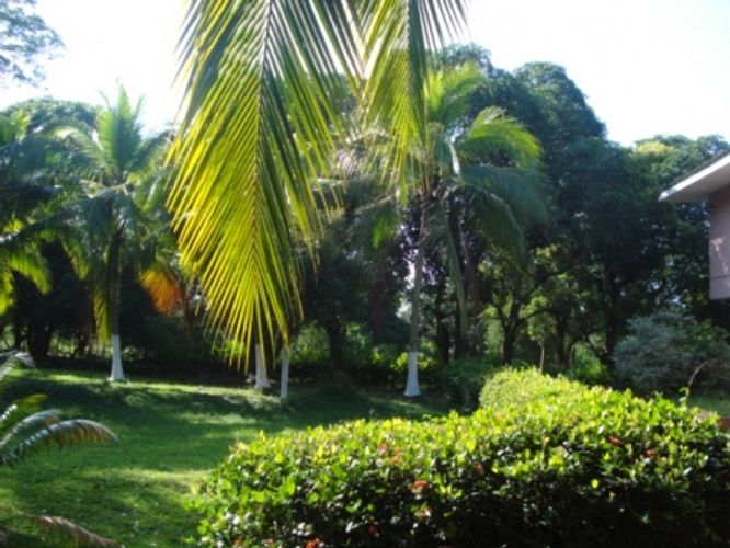 Finca en Venta en Baranoa - Imagen 1