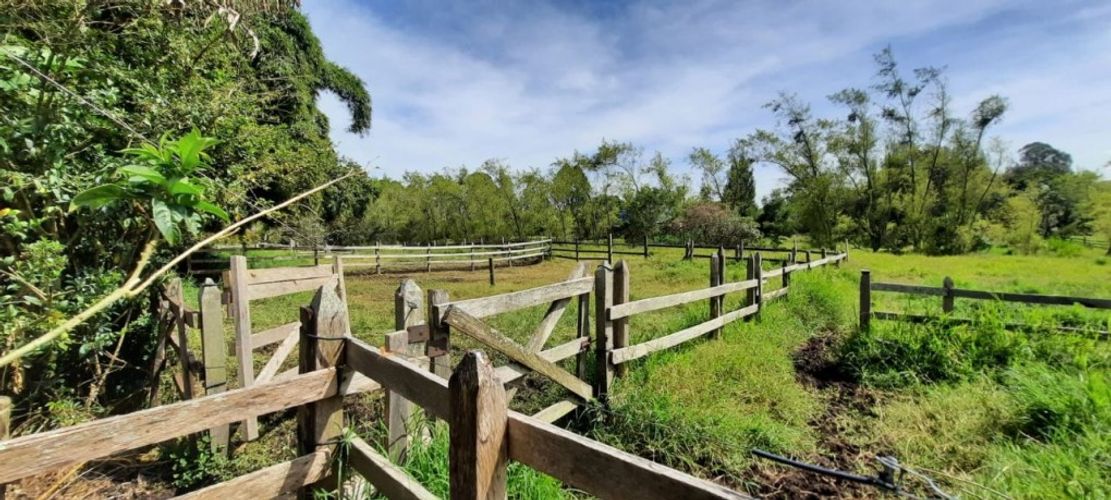 Finca en Venta en El porvenir, Rionegro - Miniatura 9