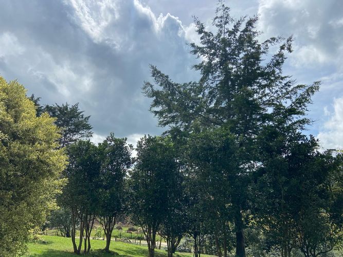 Finca en  Arriendo en El porvenir, Rionegro - Miniatura 25
