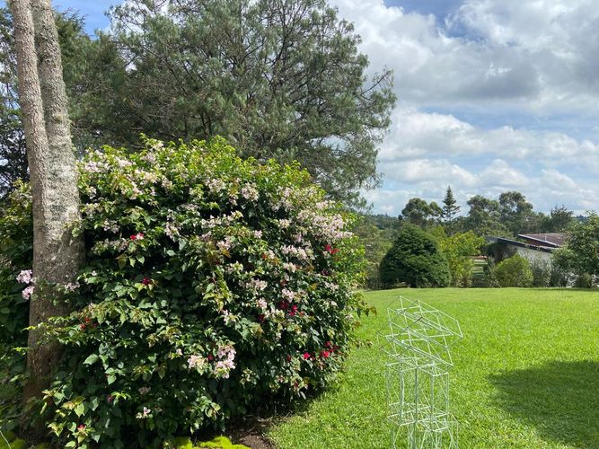 Finca en  Arriendo en El porvenir, Rionegro - Miniatura 28