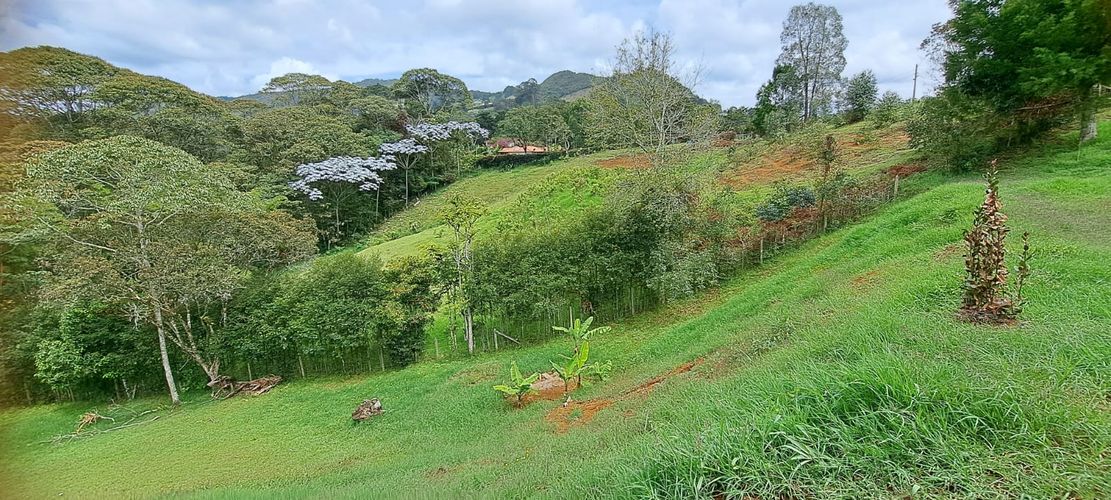 Finca en Venta en El tambo, La ceja - Miniatura 14