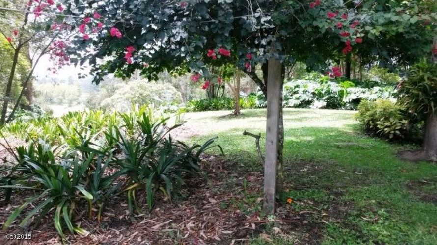 Finca en  Venta en El porvenir, Rionegro - Miniatura 7