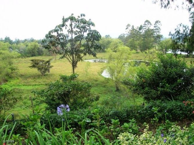 Finca en  Venta en El porvenir, Rionegro - Miniatura 10