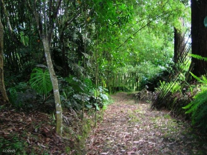 Finca en  Venta en El porvenir, Rionegro - Miniatura 11