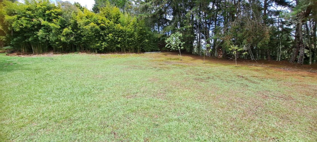 Finca en  Arriendo en El porvenir, Rionegro - Miniatura 13