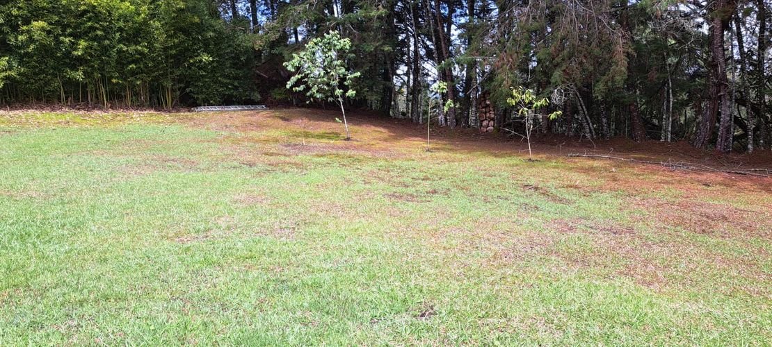 Finca en  Arriendo en El porvenir, Rionegro - Miniatura 21